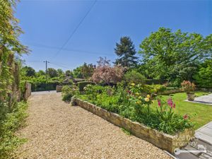 Front Garden- click for photo gallery